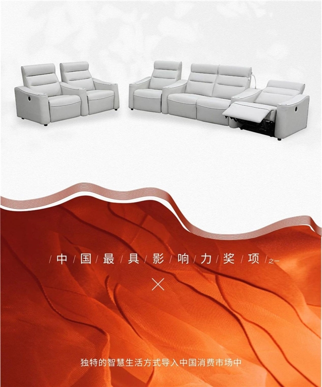 ER影院沙发斩获2024年红棉设计奖AG真人旗舰厅御虎ROYAL TIG(图4)