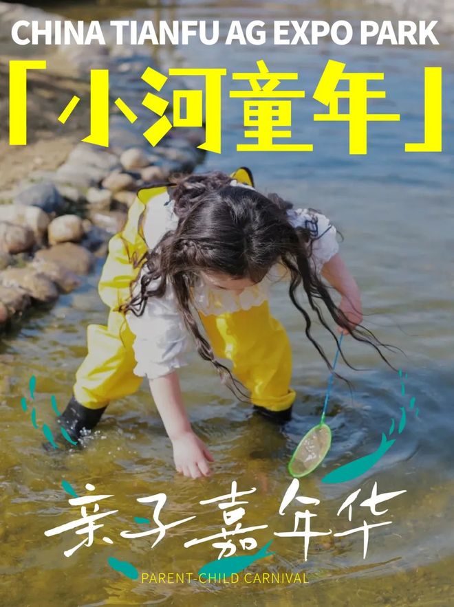 场大田星空音乐会好治愈AG真人国际游戏新津这(图4)