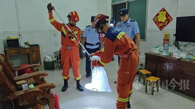 霸”入户藏匿之处让人胆寒AG真人深夜柳州两条“毒(图2)